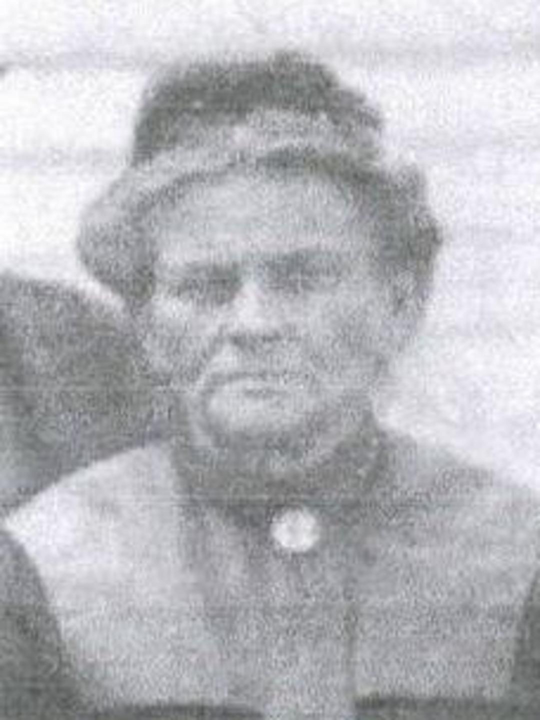 Louisa Sarah Young (1849 - 1921) Profile